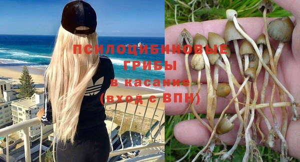 гашик Михайлов