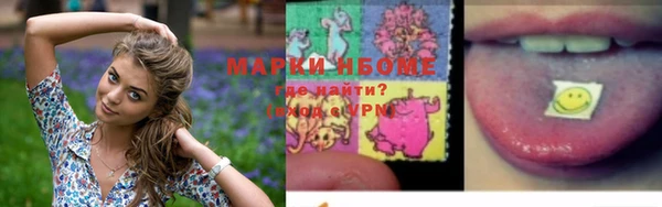 гашик Михайлов