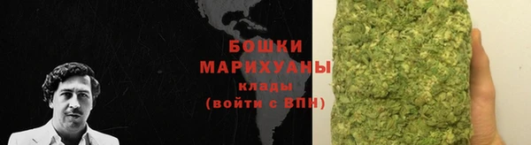 молекула духа Михайловск