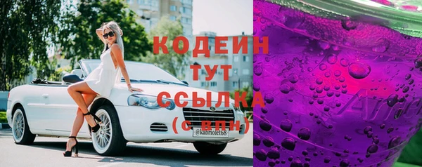 гашик Михайлов