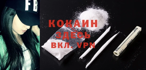 молекула духа Михайловск