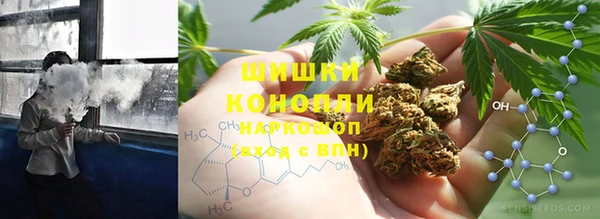 гашик Михайлов