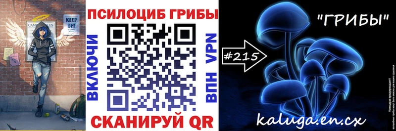 Галлюциногенные грибы ЛСД  Купить закладки  Дальнегорск 